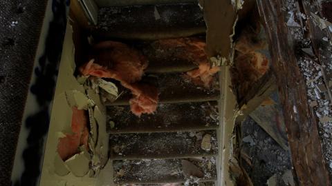 Whatever DID Jon Do? - IMG_6234.JPG