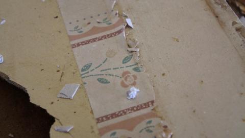 Whatever DID Jon Do? - IMG_6238.JPG