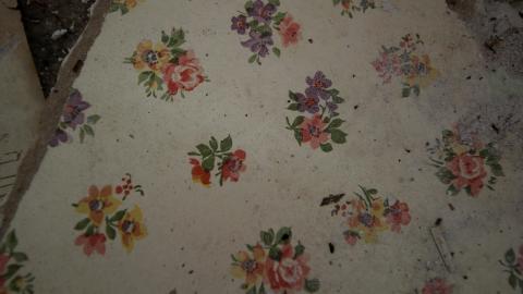 Whatever DID Jon Do? - IMG_6252.JPG