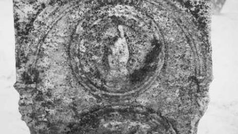 Photo from Winter 2012