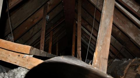 "Je Ne Pas Parler Francais" - IMG_6621.JPG