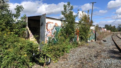 Photo from Down by the tracks