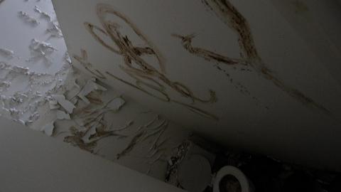 "Je Ne Pas Parler Francais" - IMG_6665.JPG