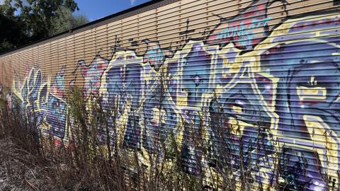 Down by the tracks - 046074B1-6198-4DE9-8289-EE267A9454DA.jpeg