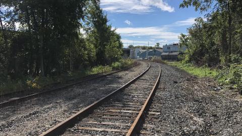 Down by the tracks - 16A9944A-6686-443F-8E1D-CE2AB131B087.jpeg