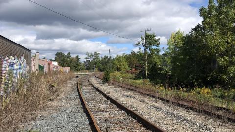 Down by the tracks - B44D238C-6369-4D1C-9569-270C74C43CEF.jpeg