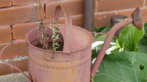 September Boardom - P1050569.JPG