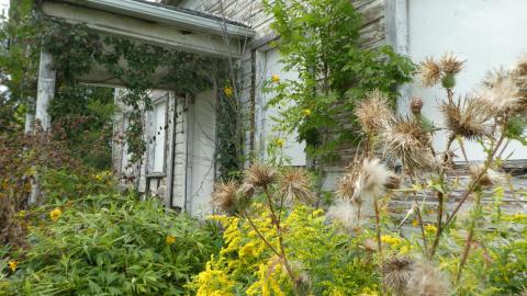 September Boardom - P1050572.JPG