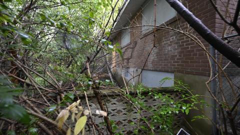 Photo from Exteriors