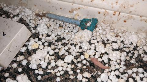 Dilapidated Duo photo 5