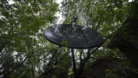 Exteriors - _DSC6777.JPG