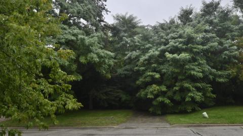 Exteriors - _DSC7008.JPG