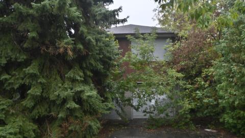 Exteriors - _DSC7011.JPG