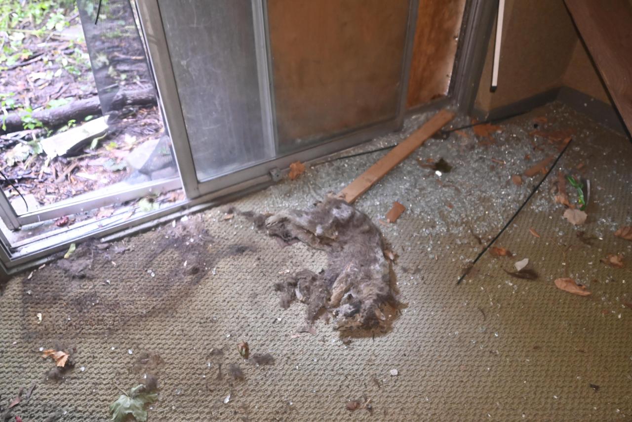 Interiors - _DSC6927.JPG