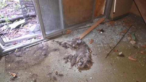 Interiors - _DSC6927.JPG