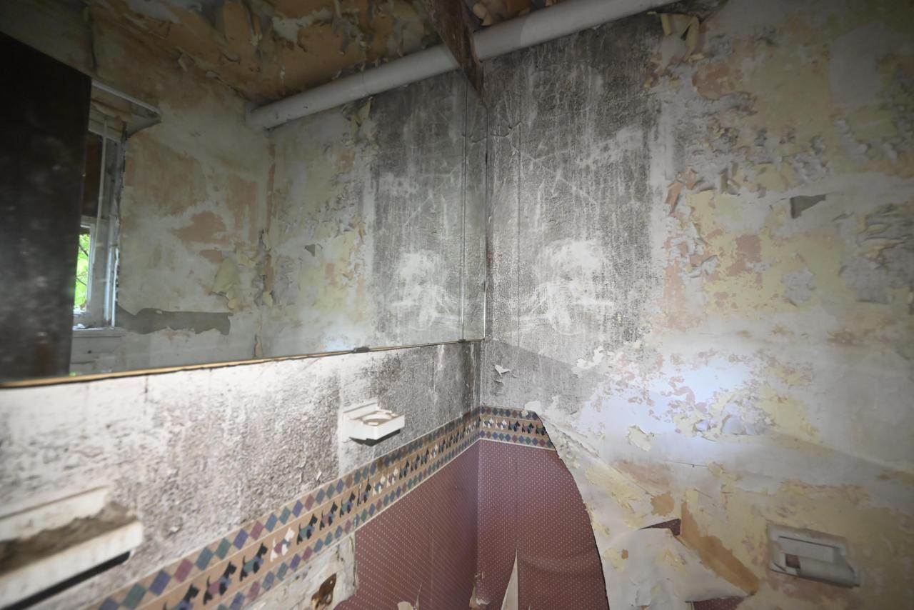 Interiors - _DSC6939.JPG