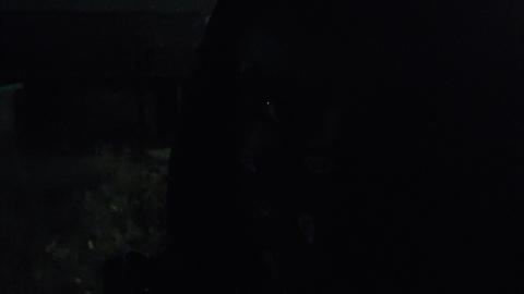 Giant bandsaw - 20210530_020248_HDR.jpg