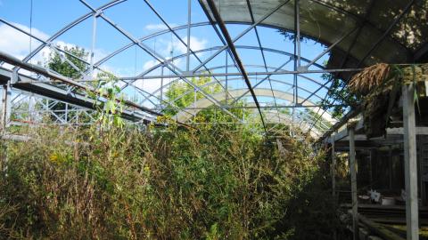 Gone With The Wind - September 2013 - DSC_0004.jpg