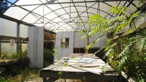 Gone With The Wind - September 2013 - DSC_0006.jpg