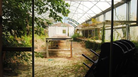 Gone With The Wind - September 2013 - DSC_0014.jpg