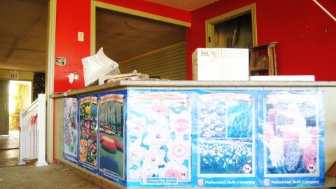 Gone With The Wind - September 2013 - DSC_0043.jpg