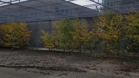 Busted up - 20211003_162701.jpg