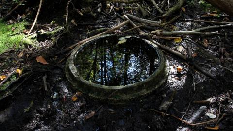 The Well And The Chrysler In The Woods - IMG_7242.JPG