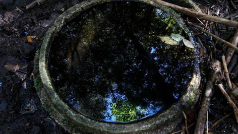 The Well And The Chrysler In The Woods - IMG_7243.JPG