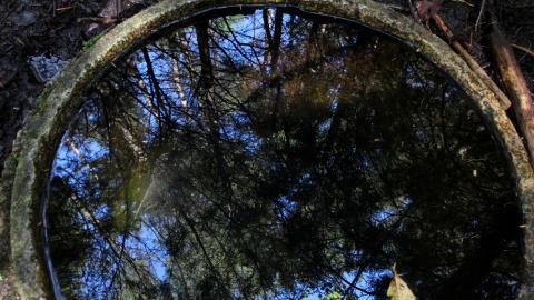 The Well And The Chrysler In The Woods - IMG_7244.JPG