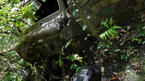 The Chrysler And The Well photo 2