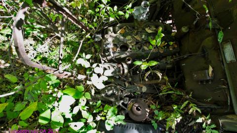 The Well And The Chrysler In The Woods - IMG_7251.JPG