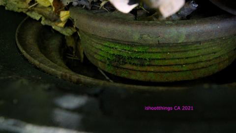 The Chrysler And The Well photo 3