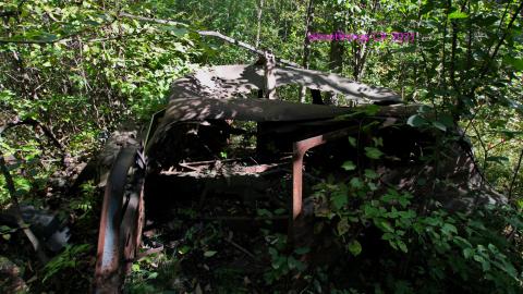 The Well And The Chrysler In The Woods - IMG_7260.JPG