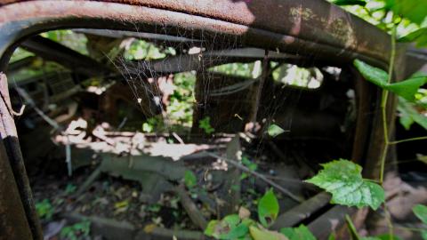 The Well And The Chrysler In The Woods - IMG_7261.JPG