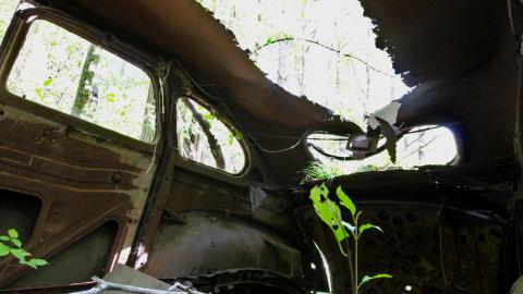 The Well And The Chrysler In The Woods - IMG_7262.JPG