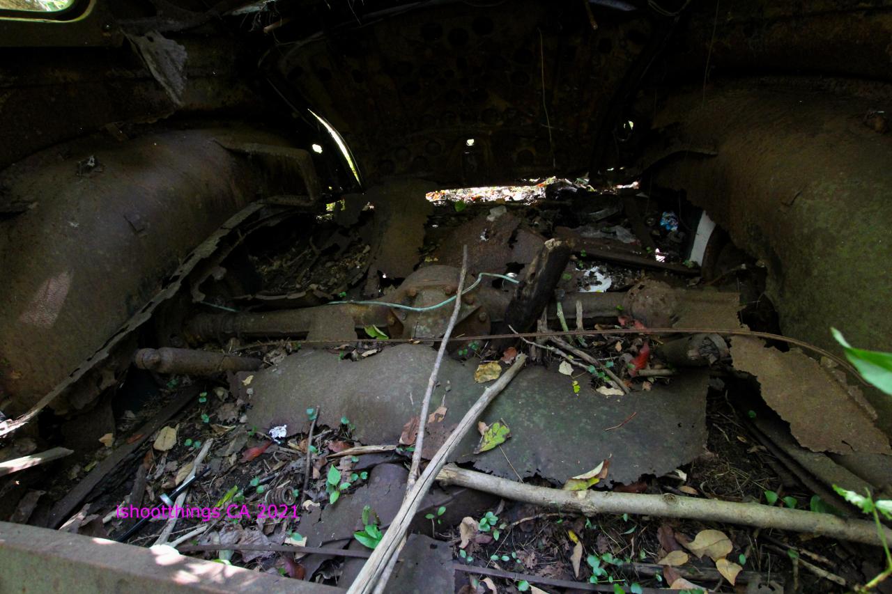 The Well And The Chrysler In The Woods - IMG_7263.JPG