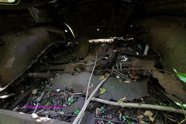 The Chrysler And The Well photo 5