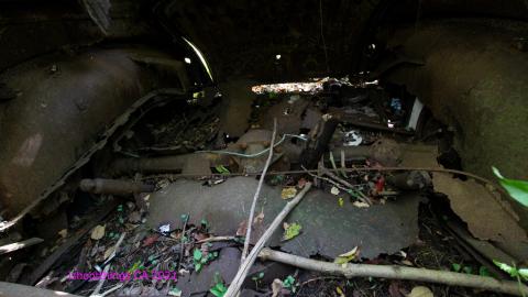 The Chrysler And The Well photo 5