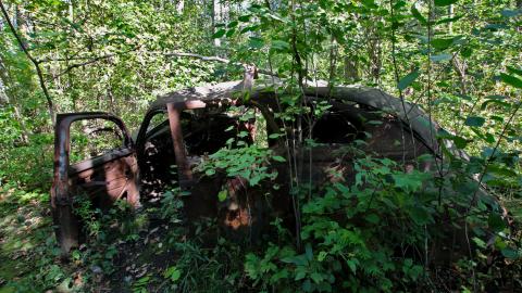 The Well And The Chrysler In The Woods - IMG_7272.JPG