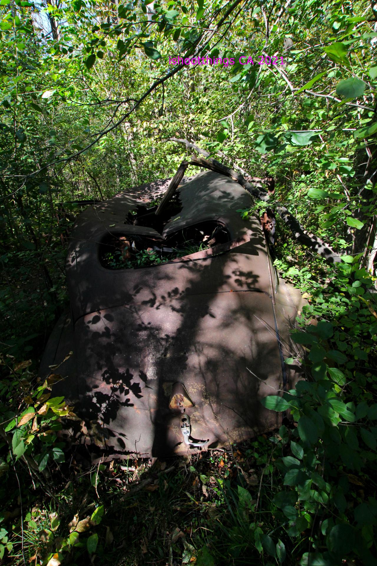 The Well And The Chrysler In The Woods - IMG_7274.JPG