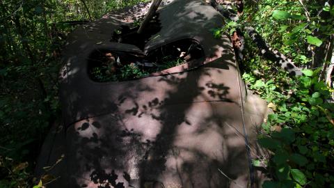 The Well And The Chrysler In The Woods - IMG_7274.JPG