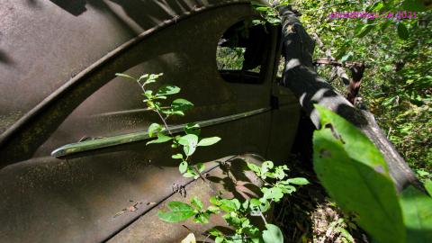 The Well And The Chrysler In The Woods - IMG_7275.JPG