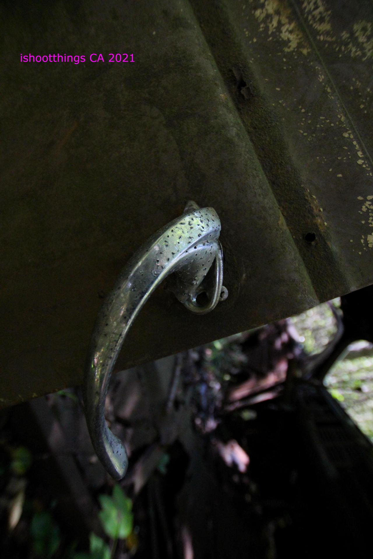 The Well And The Chrysler In The Woods - IMG_7277.JPG