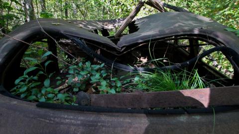 The Well And The Chrysler In The Woods - IMG_7279.JPG
