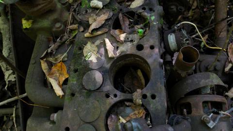 The Well And The Chrysler In The Woods - IMG_7280.JPG