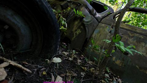 The Well And The Chrysler In The Woods - IMG_7282.JPG