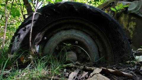 The Well And The Chrysler In The Woods - IMG_7284.JPG
