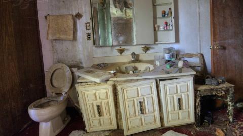 August 2019 - Collages4.jpg