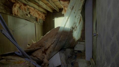 August 2019 - Collages7.jpg