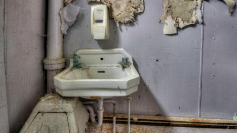 August 2019 - Collages12.jpg